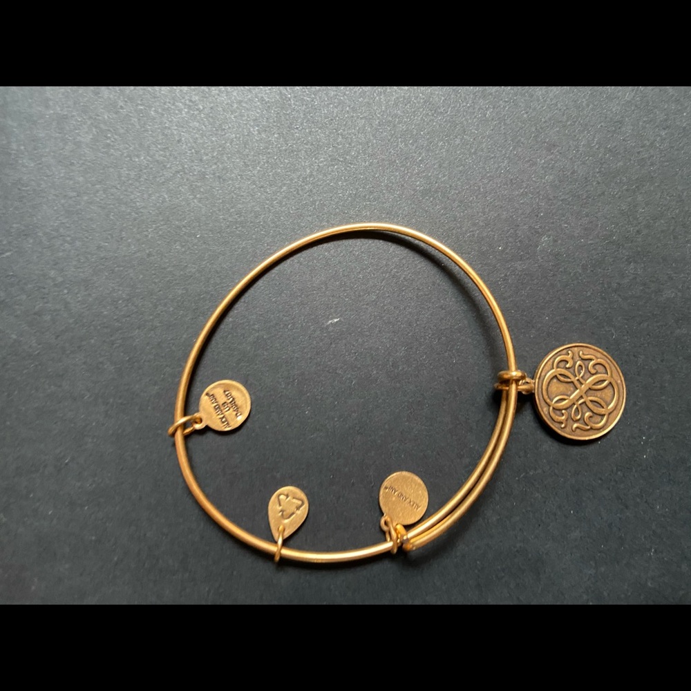 Alex and Ani Charm bracelet gold